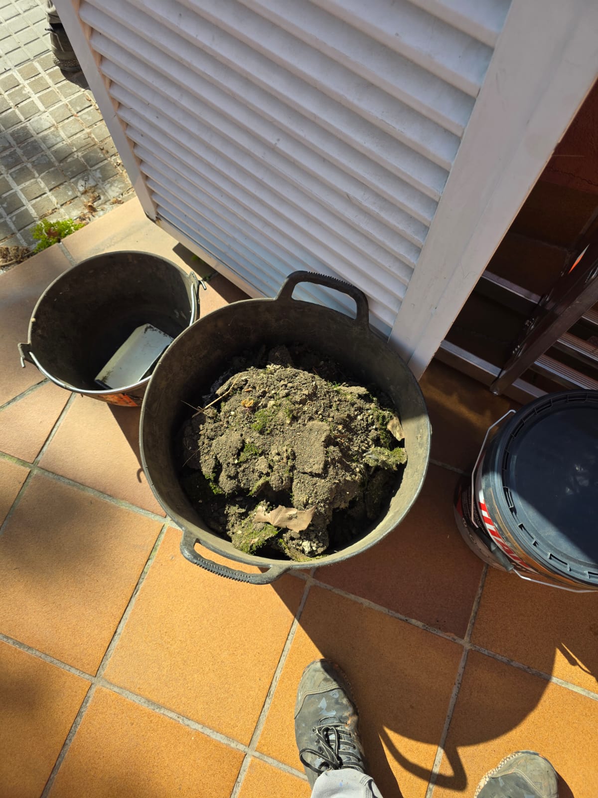Bote con tierra y plantas en un balcón. Suelo de baldosas a la vista.