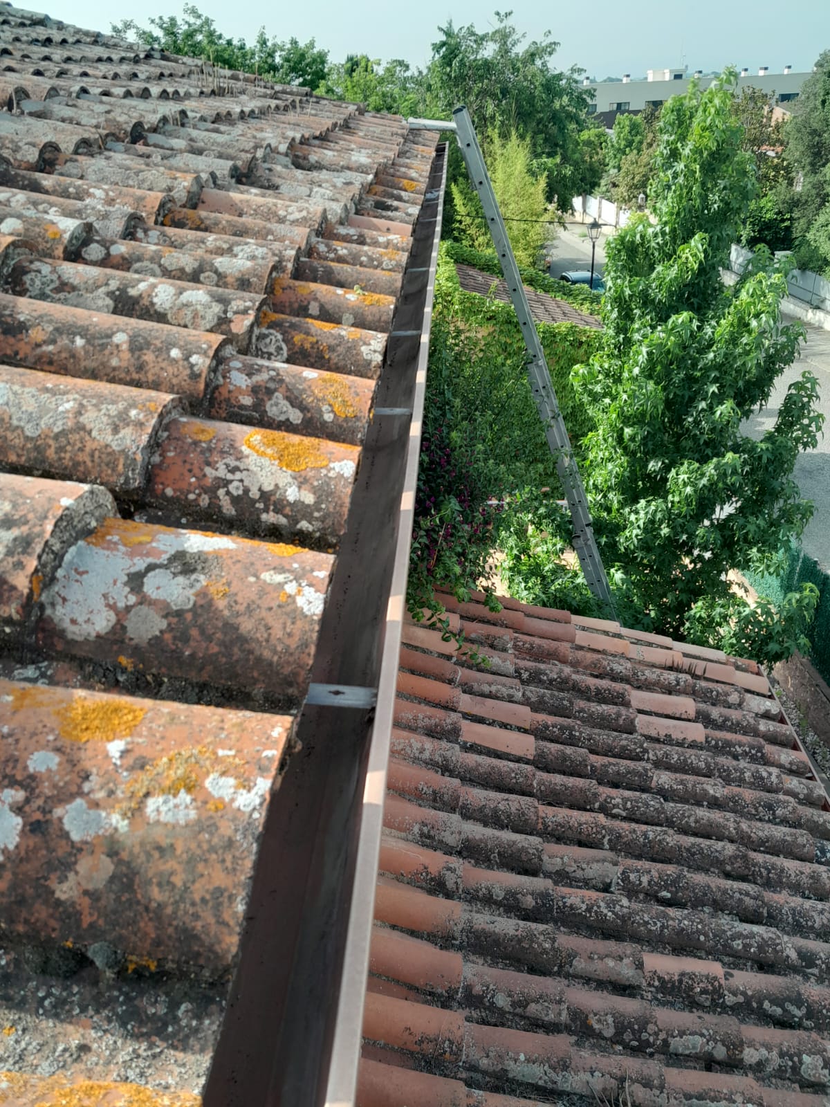Teja de un tejado con musgo y una canaleta, vista desde un ángulo elevado.
