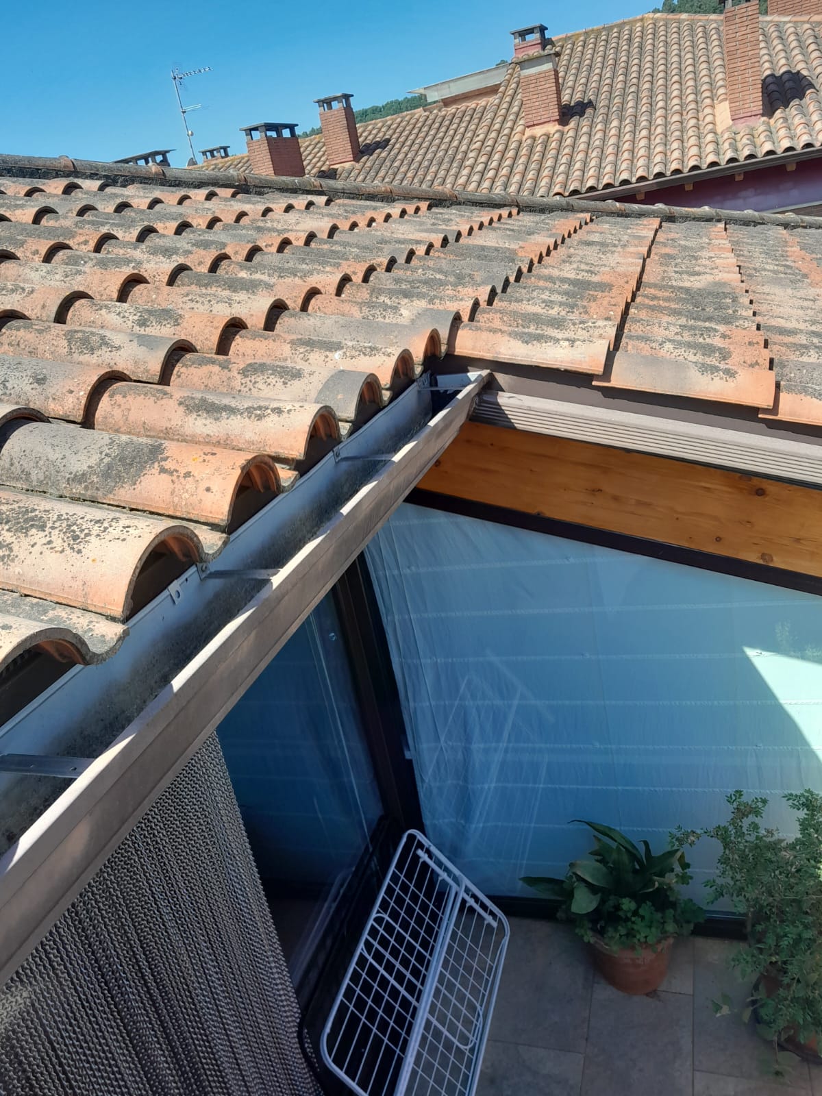 Tejado de tejas con canalón y una planta cercana, bajo un cielo despejado.