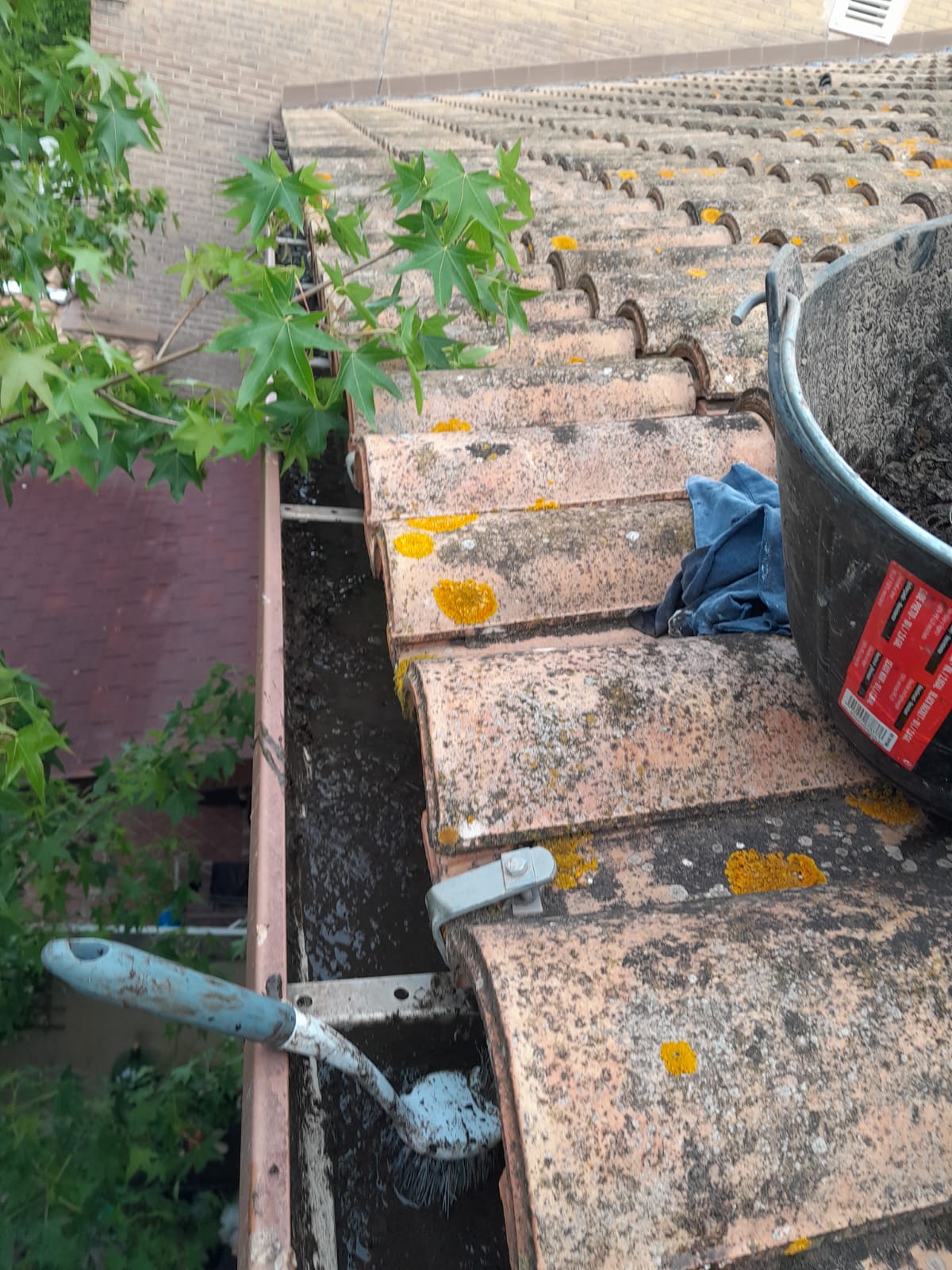 Tejas de un tejado con una cubeta y un trapo en el borde, cerca de una canaleta.