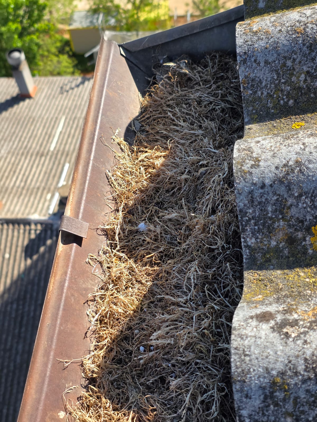 Nido de aves hecho de hierbas secas en la superficie de una canal.