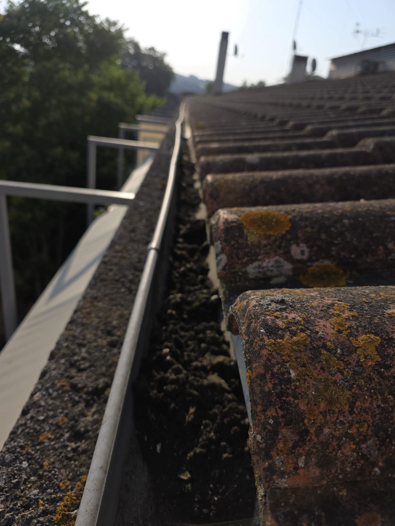 Canalón con hojas y suciedad acumulada sobre tejas de un tejado. Fondo con vegetación.